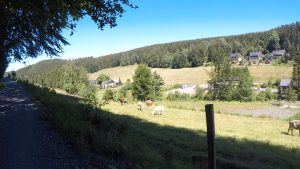 Seltener Ausblick beim Sachsentrail