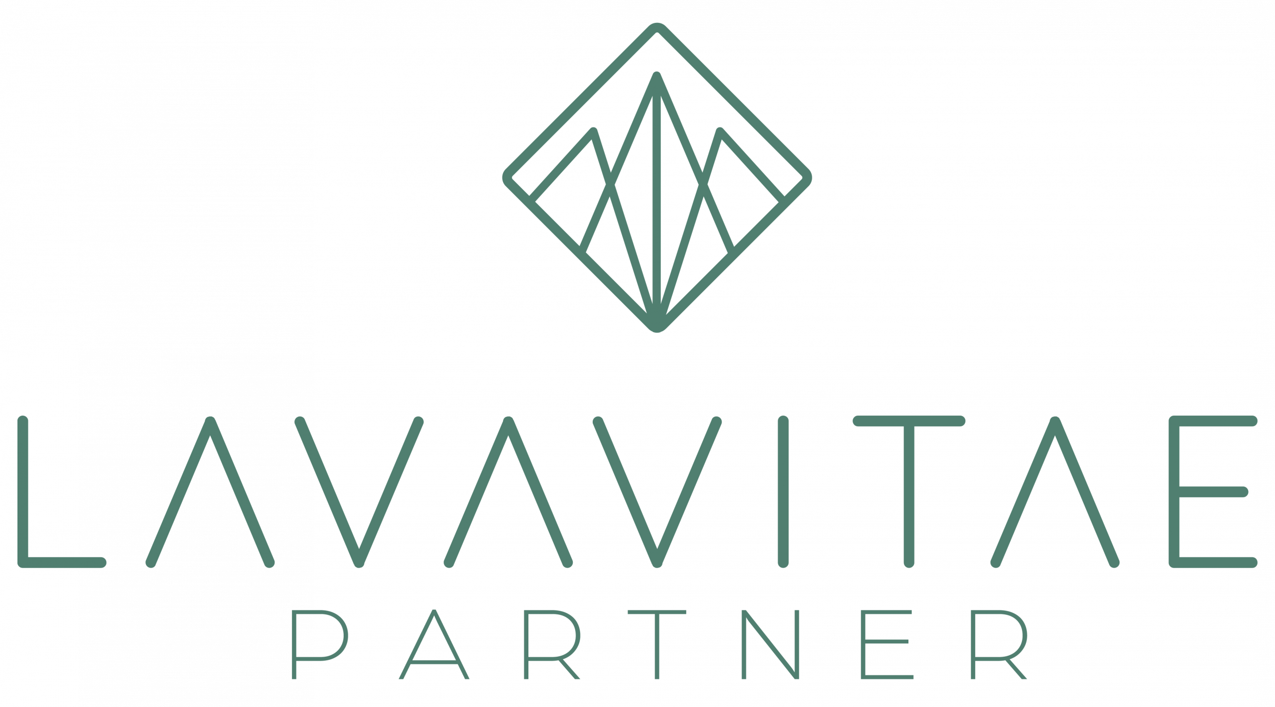 LAVAVITAE Partner